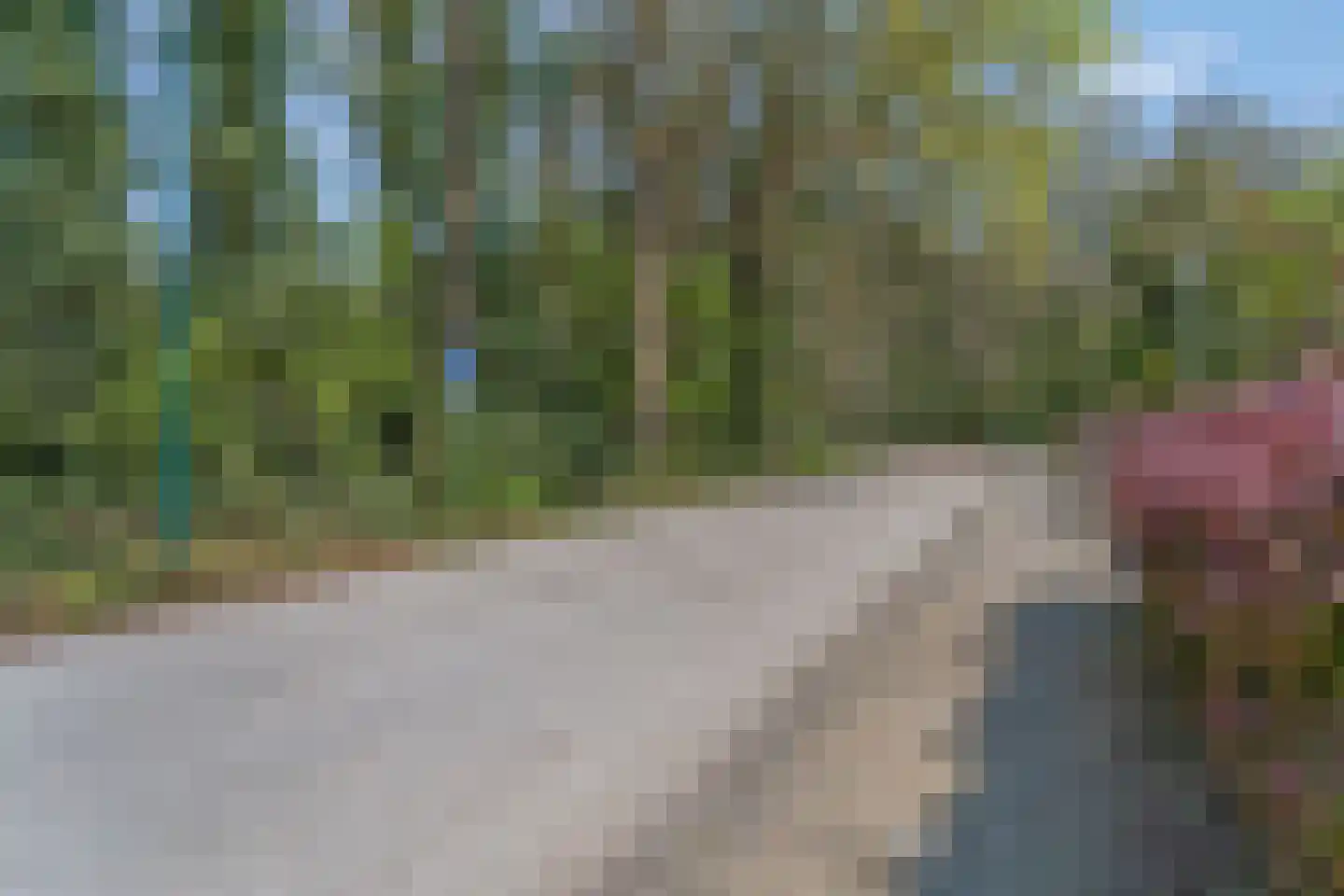 Boslaan 65 Amerongen thumbnail 46