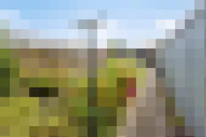 Boslaan 67 Veenendaal thumbnail 25