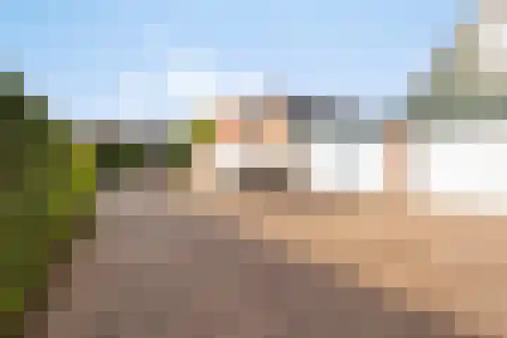 Boslaan 67 Veenendaal thumbnail 29