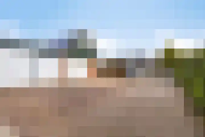 Boslaan 67 Veenendaal thumbnail 30