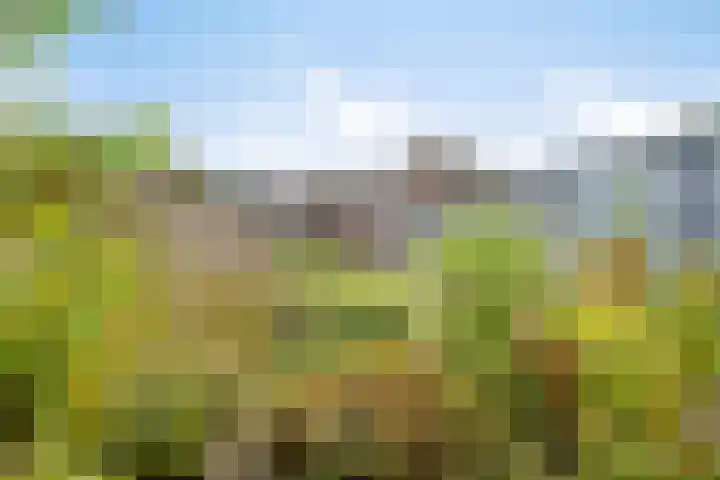 Boslaan 67 Veenendaal thumbnail 4