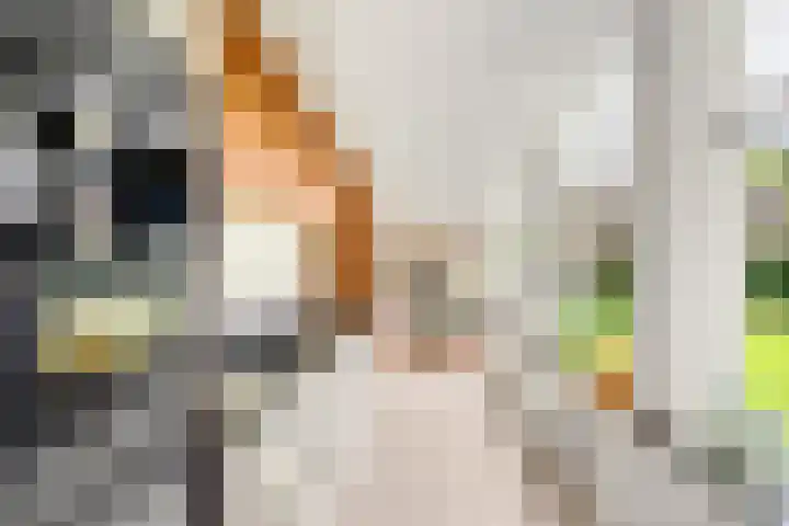 Boslaan 68 D Lunteren thumbnail 13