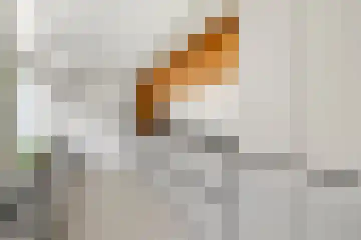 Boslaan 68 D Lunteren thumbnail 15