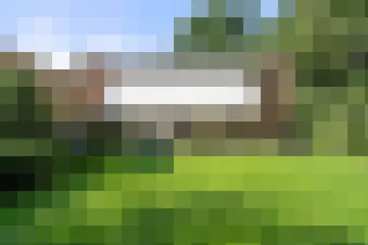 Boslaan 68 D Lunteren thumbnail 33