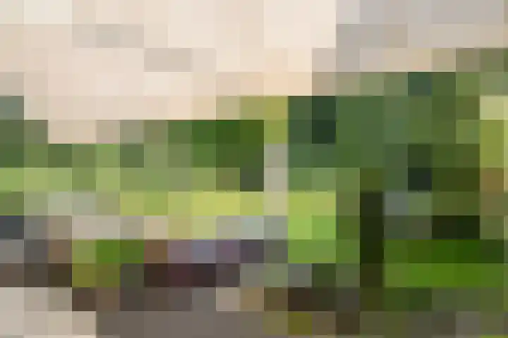 Boslaan 68 D Lunteren thumbnail 34
