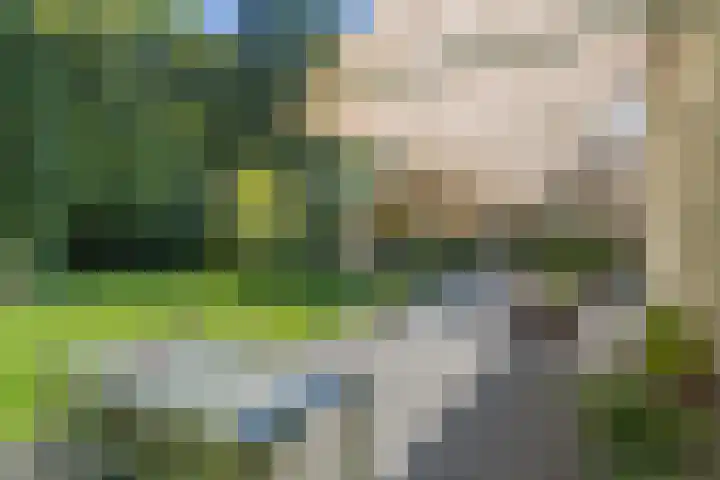 Boslaan 68 D Lunteren thumbnail 35