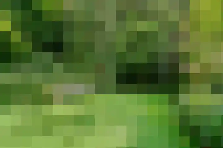 Boslaan 68 D Lunteren thumbnail 36