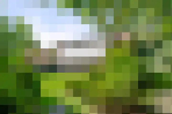 Boslaan 68 D Lunteren thumbnail 37