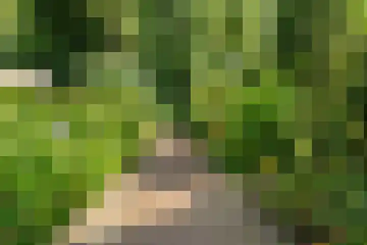 Boslaan 68 D Lunteren thumbnail 39