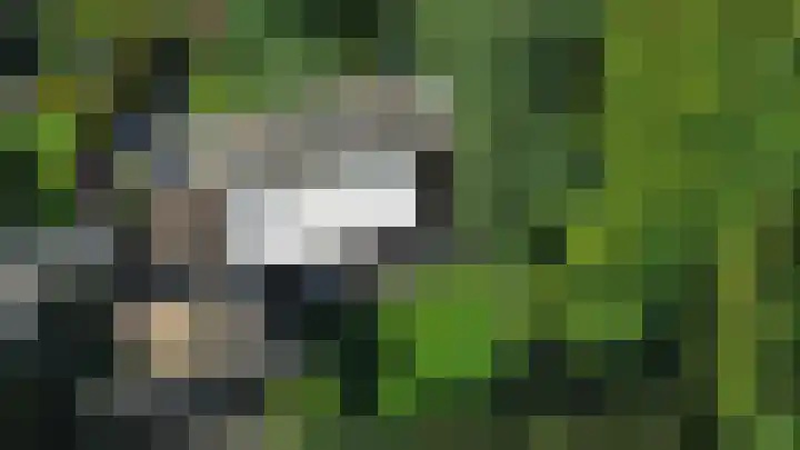 Boslaan 68 D Lunteren thumbnail 40