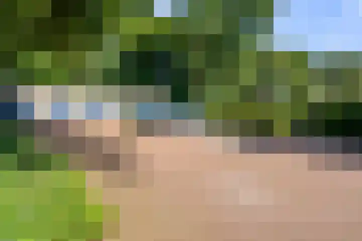 Boslaan 68 D Lunteren thumbnail 41