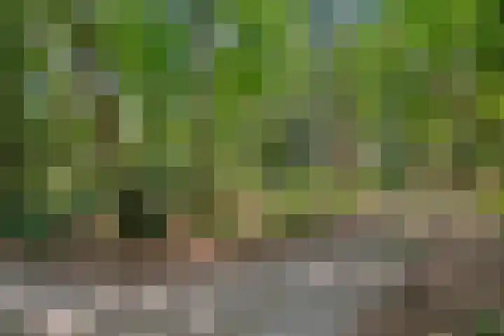 Boslaan 68 D Lunteren thumbnail 43