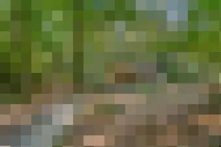Boslaan 68 D Lunteren thumbnail 44