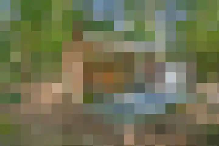 Boslaan 68 D Lunteren thumbnail 45