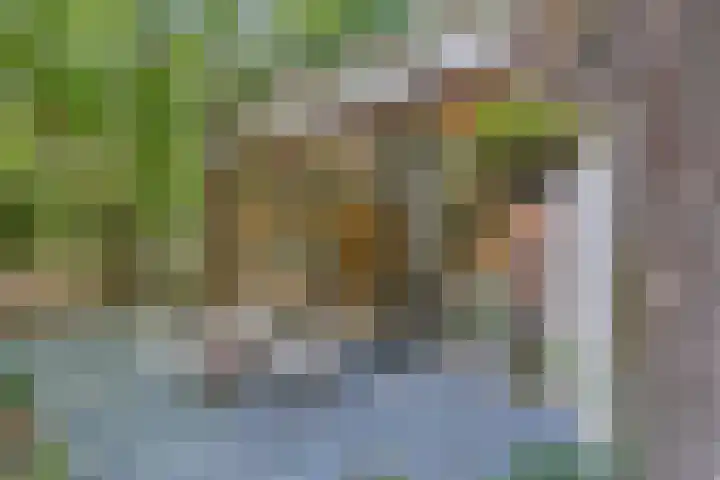 Boslaan 68 D Lunteren thumbnail 46