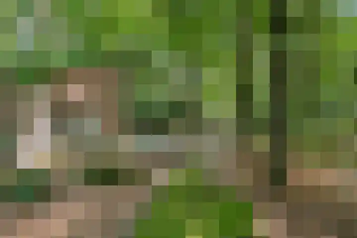 Boslaan 68 D Lunteren thumbnail 47