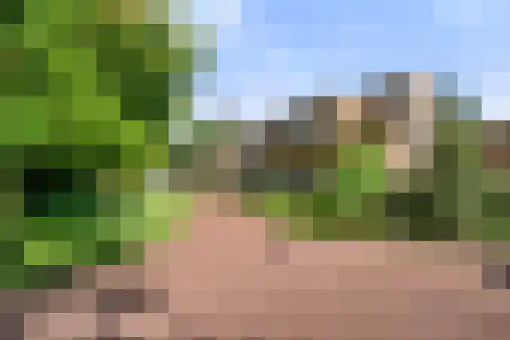 Boslaan 68 D Lunteren thumbnail 5