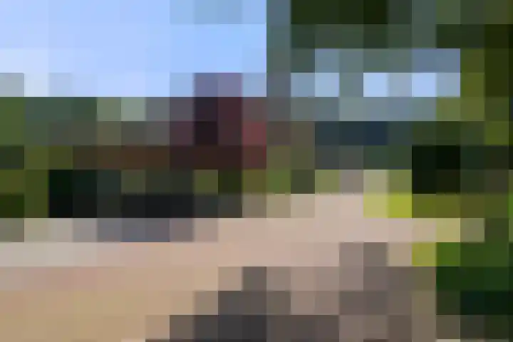 Boslaan 68 D Lunteren thumbnail 59