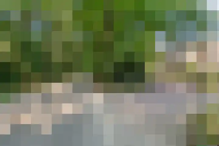 Boslaan 68 D Lunteren thumbnail 60