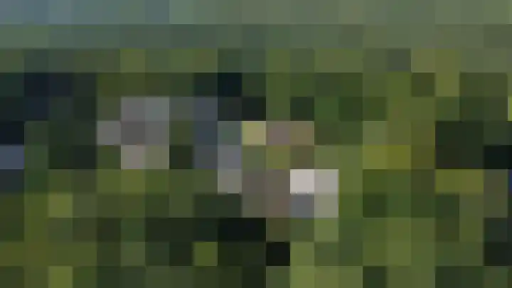 Boslaan 68 D Lunteren thumbnail 61