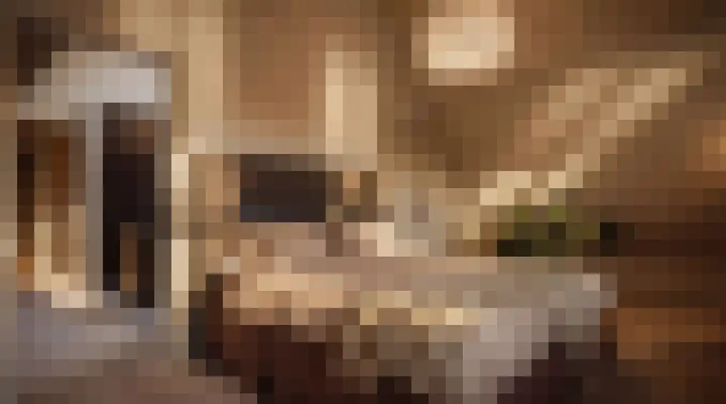 Boslaan 7 Blaricum thumbnail 12