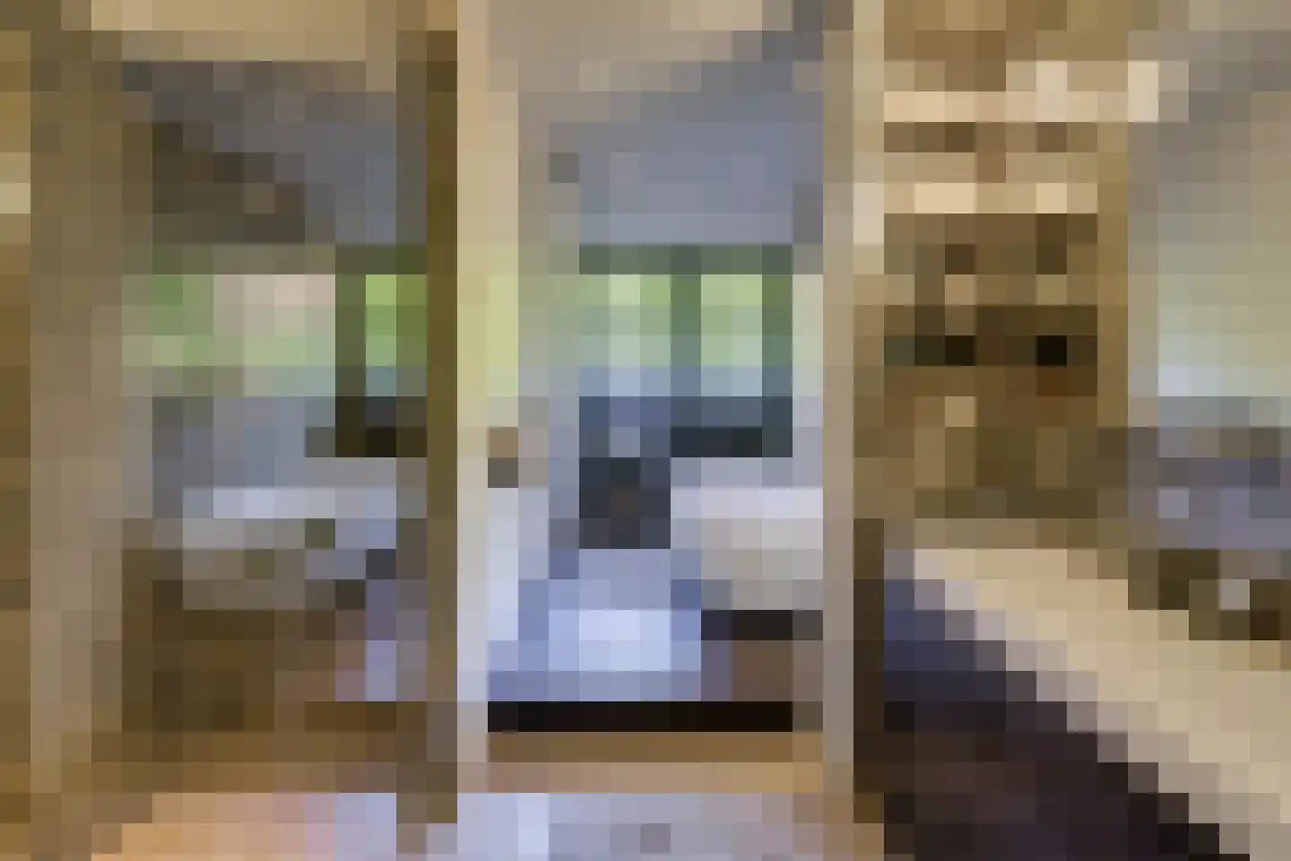 Boslaan 7 Blaricum thumbnail 18
