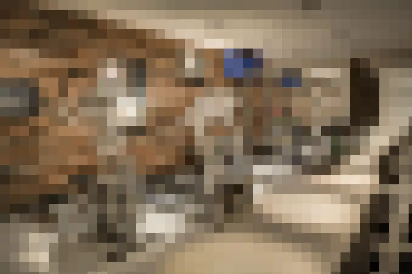 Boslaan 7 Blaricum thumbnail 23