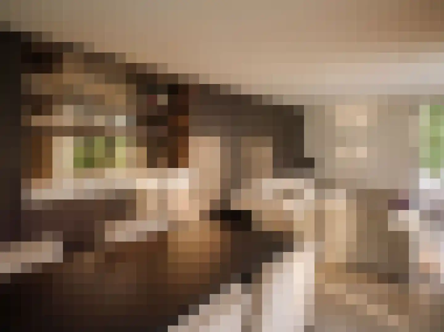 Boslaan 7 Blaricum thumbnail 35