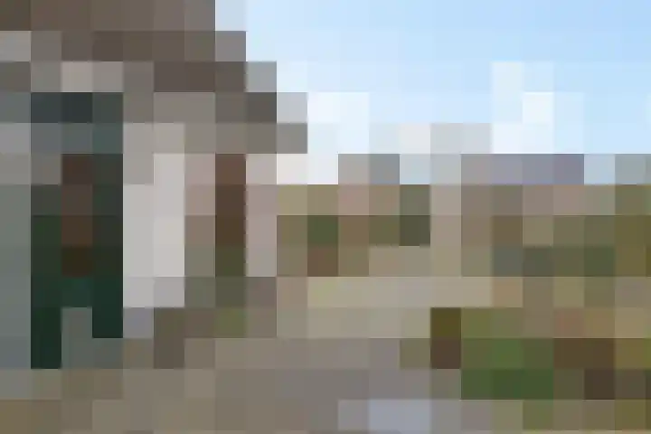 Boslaan 74 Zuidbroek thumbnail 34