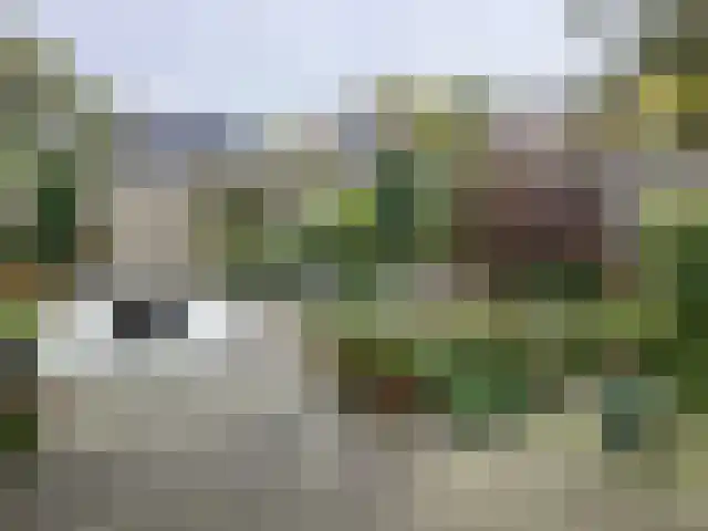 Boslaan 74 Zuidbroek thumbnail 35