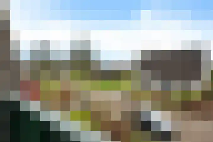 Boslaan 74 Zuidbroek thumbnail 4