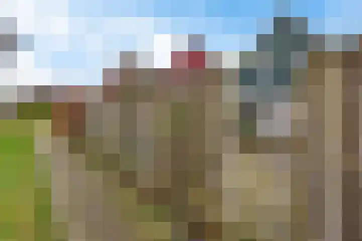 Boslaan 74 Zuidbroek thumbnail 41