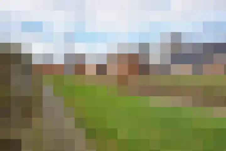 Boslaan 74 Zuidbroek thumbnail 42