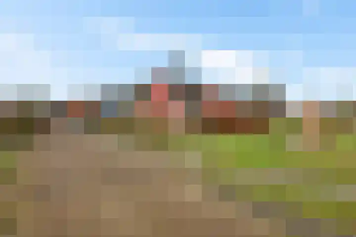 Boslaan 74 Zuidbroek thumbnail 45