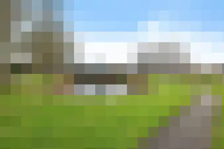 Boslaan 74 Zuidbroek thumbnail 46