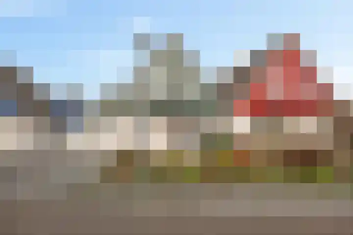 Boslaan 74 Zuidbroek thumbnail 47