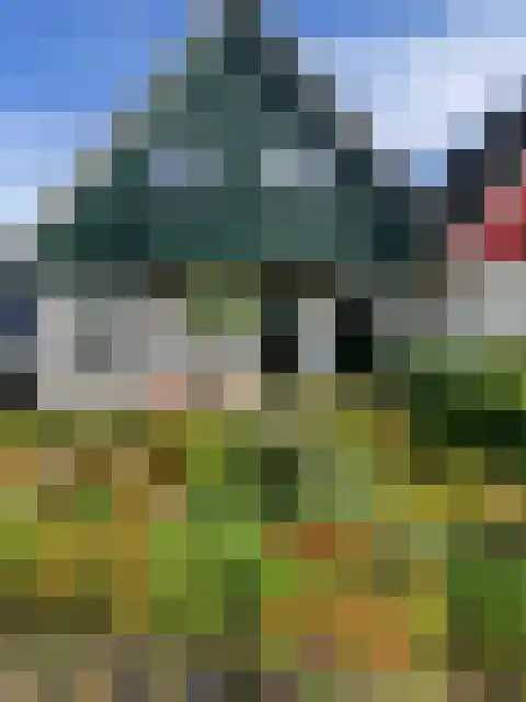 Boslaan 74 Zuidbroek thumbnail 48