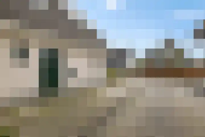 Boslaan 74 Zuidbroek thumbnail 6