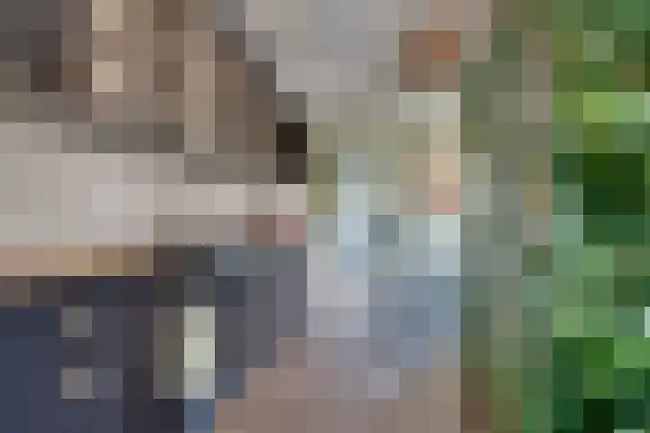 Boslaan 75 Veenendaal thumbnail 12