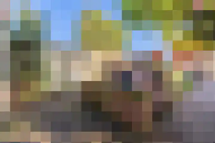 Boslaan 75 Veenendaal thumbnail 36