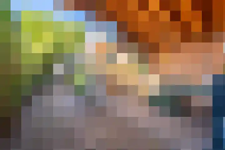 Boslaan 75 Veenendaal thumbnail 41