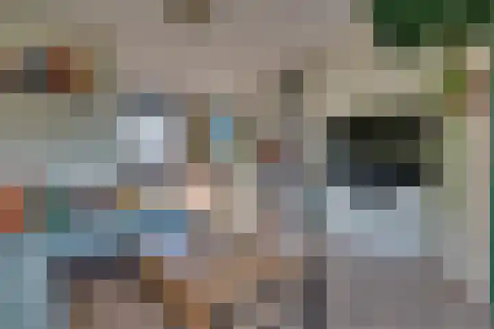 Boslaan 75 Veenendaal thumbnail 8