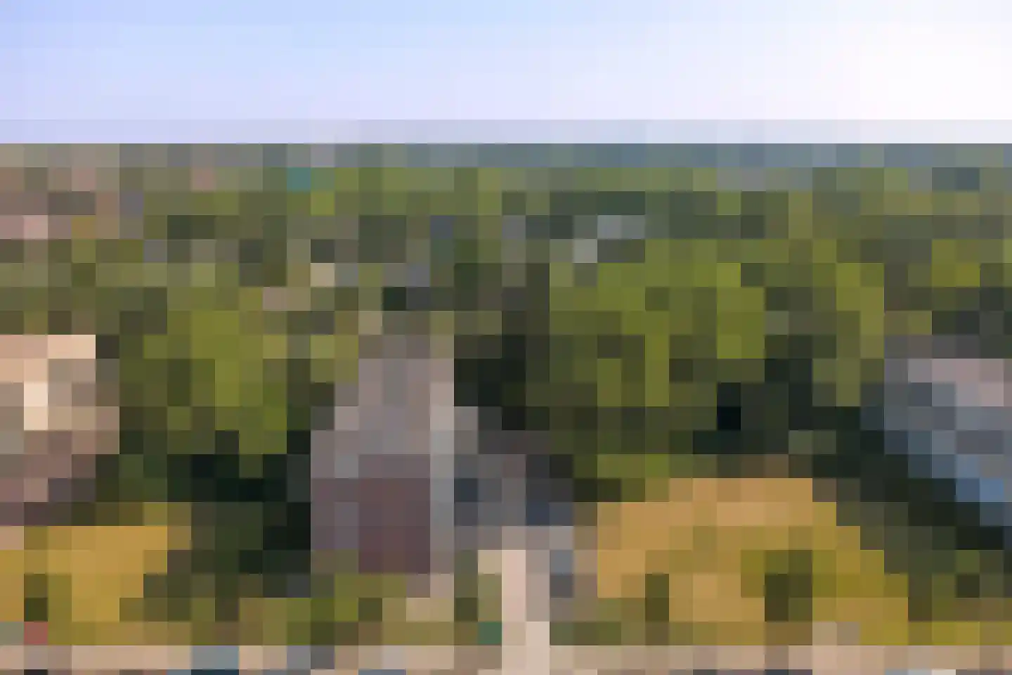 Boslaan 8 Katwijk thumbnail 47