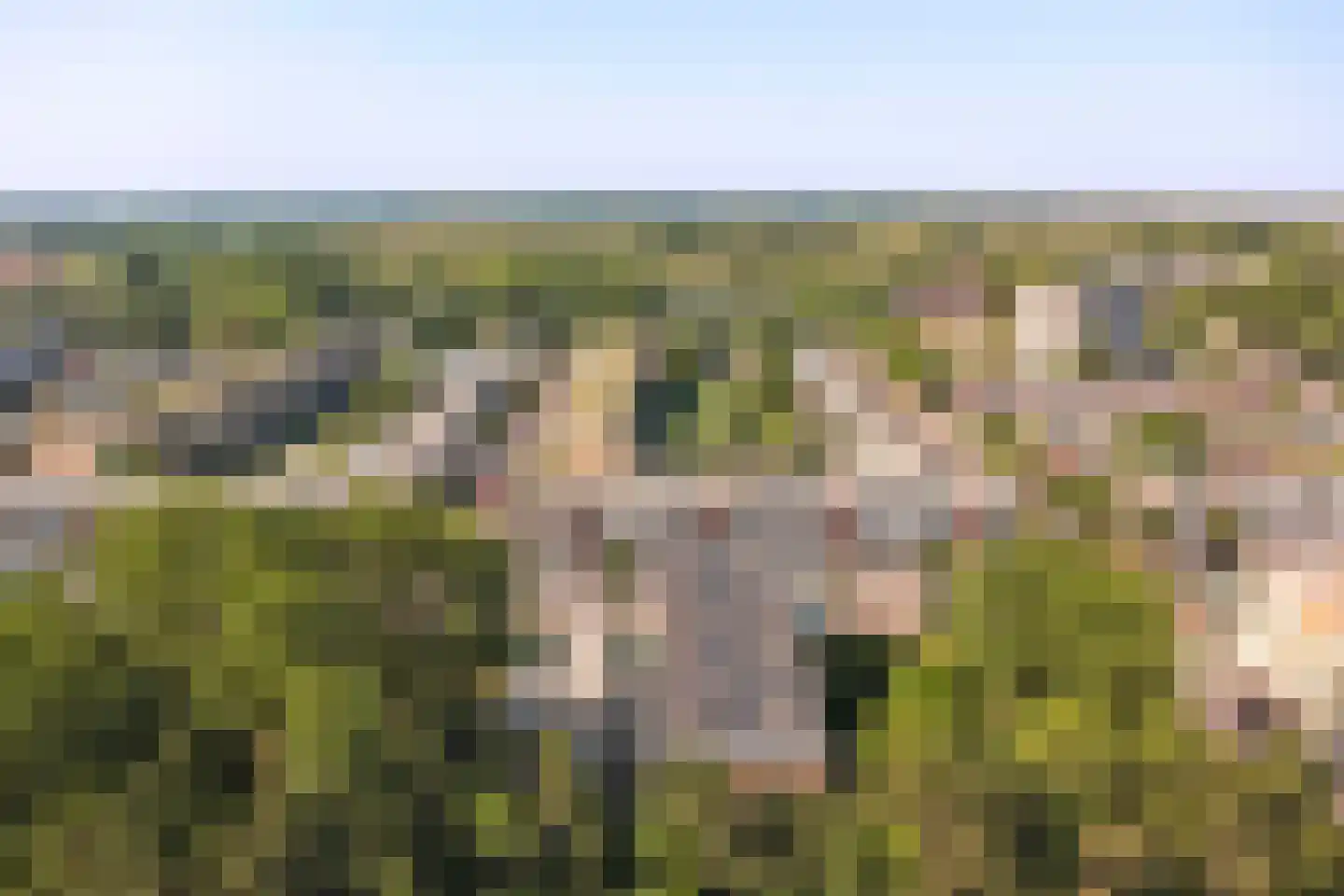 Boslaan 8 Katwijk thumbnail 48
