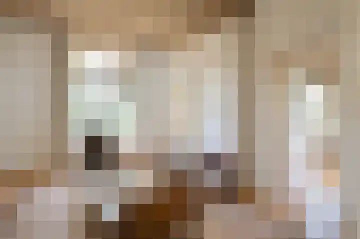 Boslaan 8 Zeist thumbnail 11