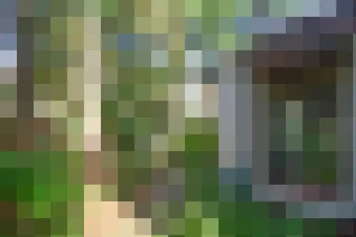 Boslaan 8 Zeist thumbnail 27