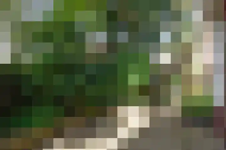 Boslaan 8 Zeist thumbnail 28