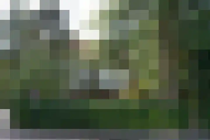 Boslaan 8 Zeist thumbnail 30