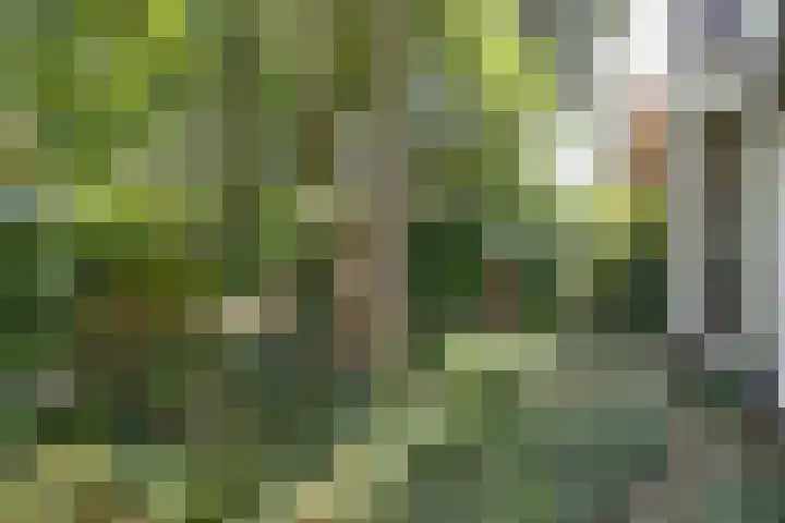 Boslaan 8 Zeist thumbnail 31