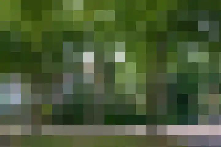 Boslaan 8 Zeist thumbnail 32
